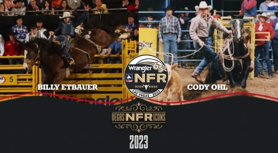 NFR Icons In 2023